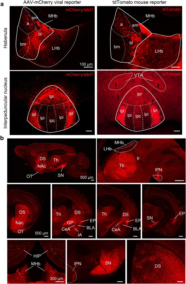 Figure 2.