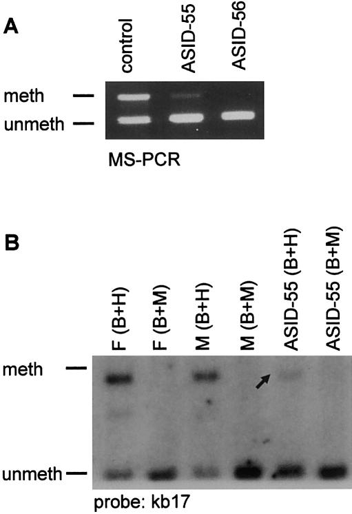 Figure  1