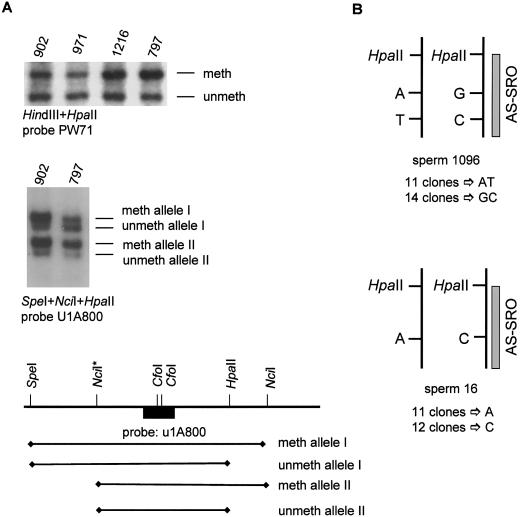 Figure  2