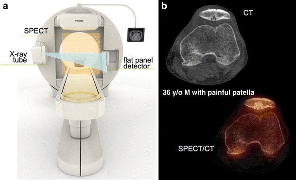 Fig. 6