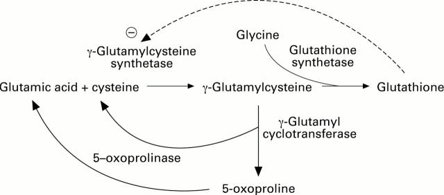 Figure 1  