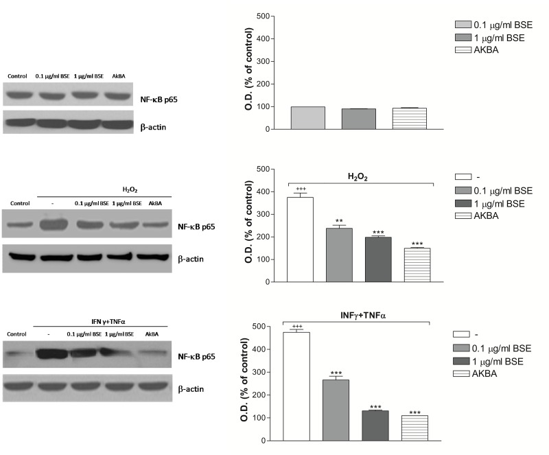 Fig 7