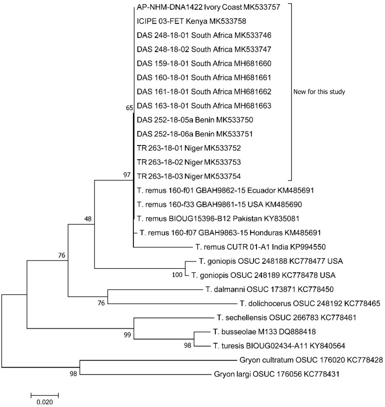 Figure 1