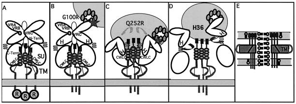 FIG. 6.