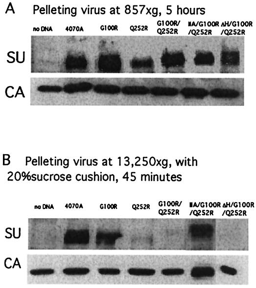 FIG. 5.