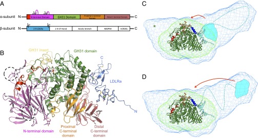 Fig. 1.