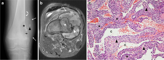 Fig. 10