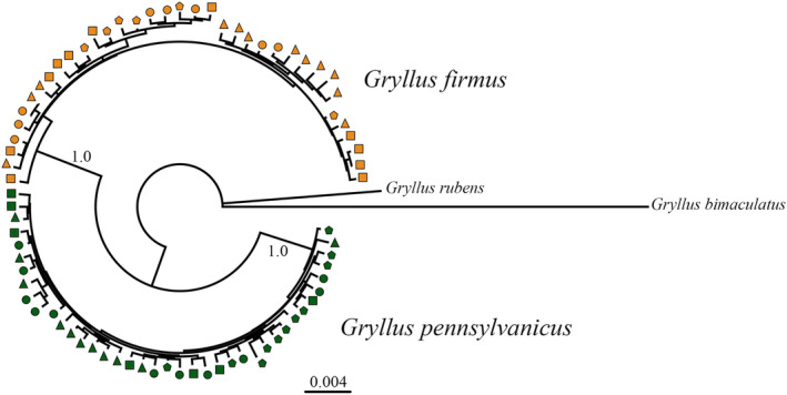 FIGURE 4