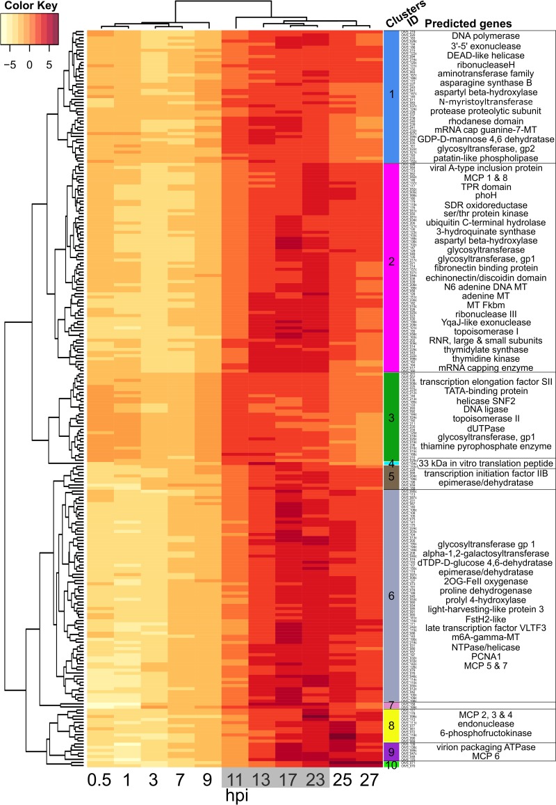 FIG 6