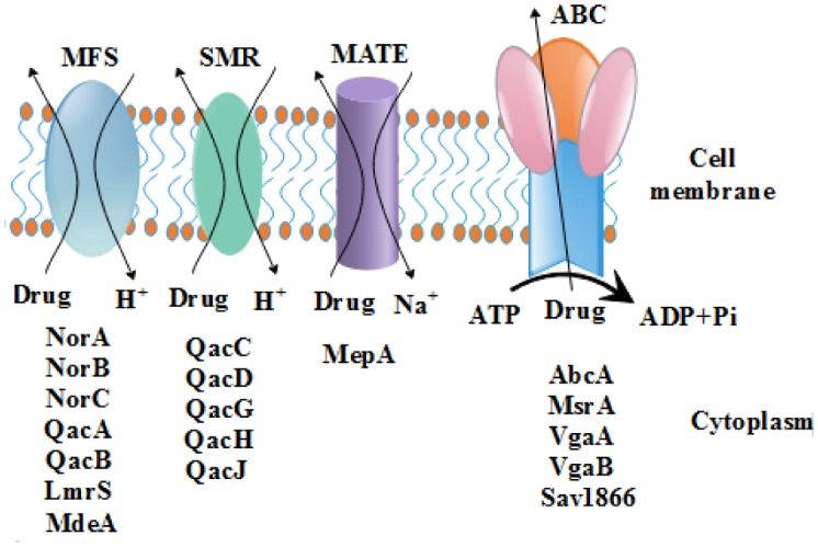 Figure 1.