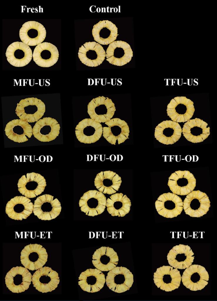 Fig. 6