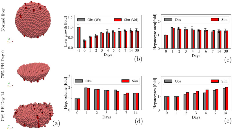 Fig 6