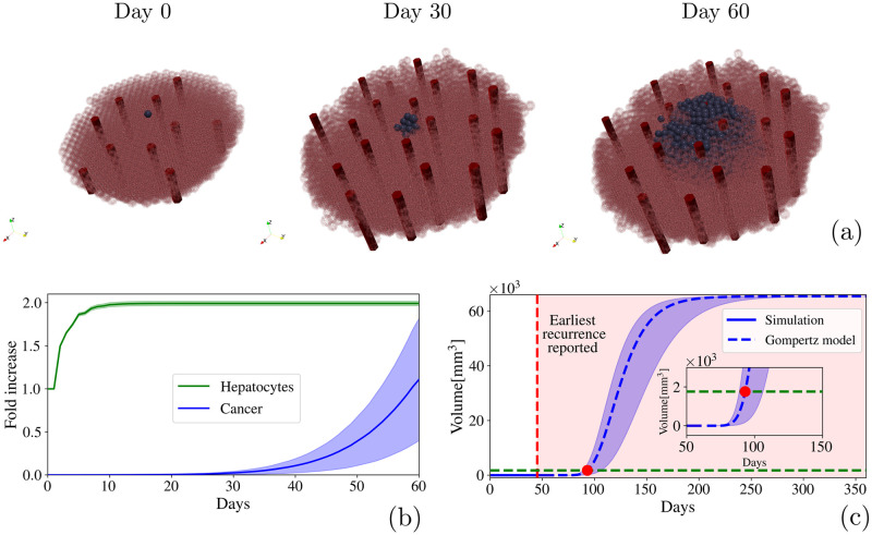 Fig 10