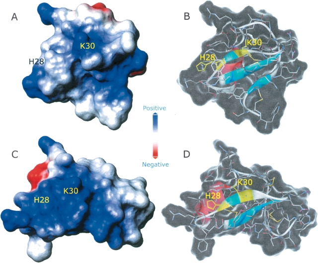 Figure 10.