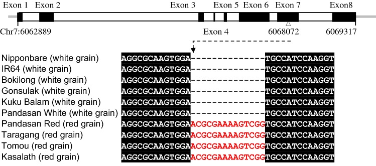 Fig. 3