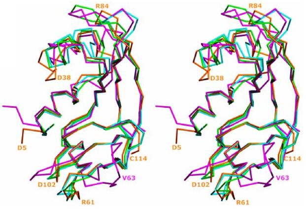 Fig. (2)