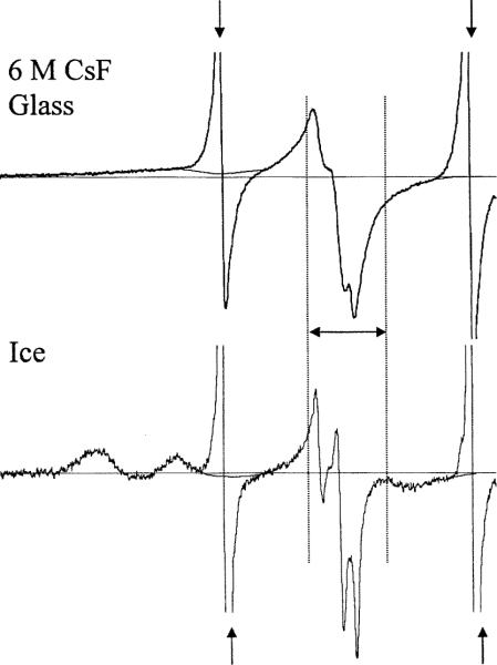 FIG. 5