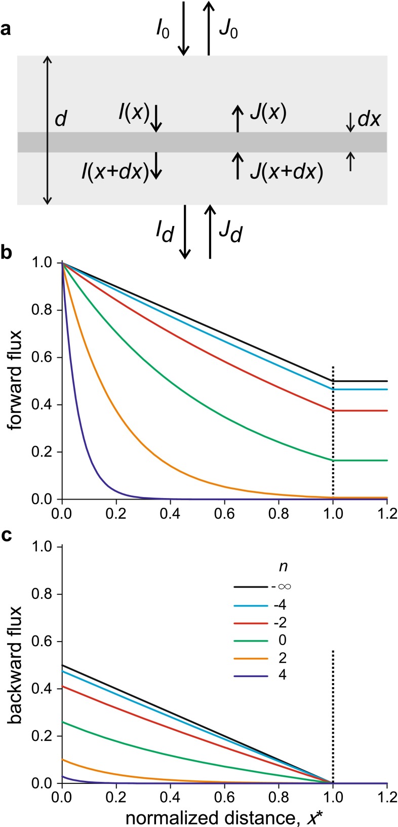 Fig. 6