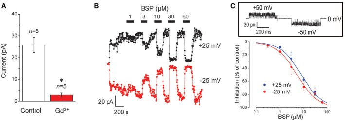 Figure EV3