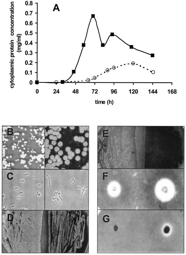 FIG.2.