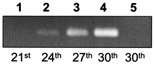 FIG. 1.