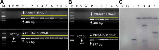 Fig 6