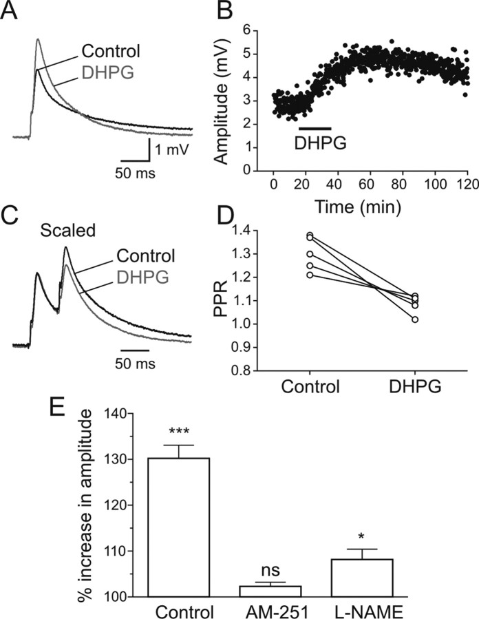 Figure 10.