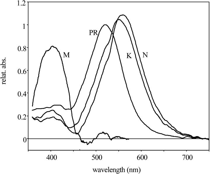 FIGURE 2