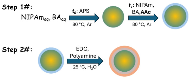 Scheme 1