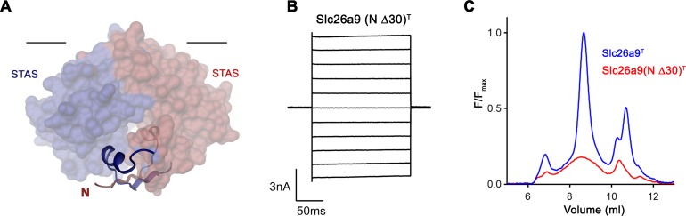 Figure 3—figure supplement 1.