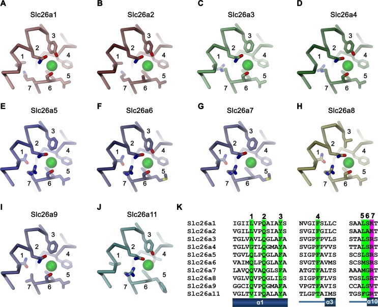 Figure 8—figure supplement 2.