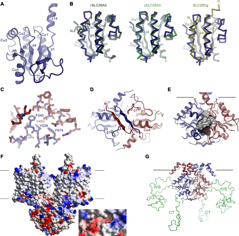 Figure 3—figure supplement 2.