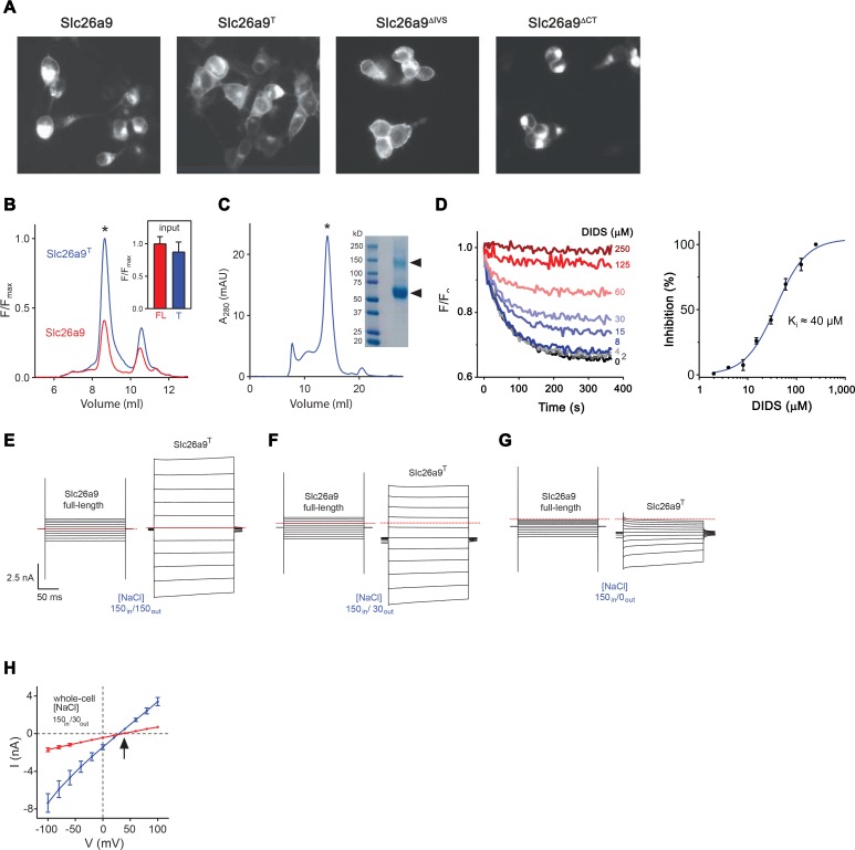 Figure 1—figure supplement 2.