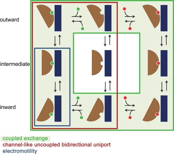 Figure 8—figure supplement 3.