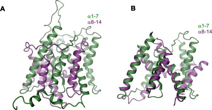 Figure 4—figure supplement 1.