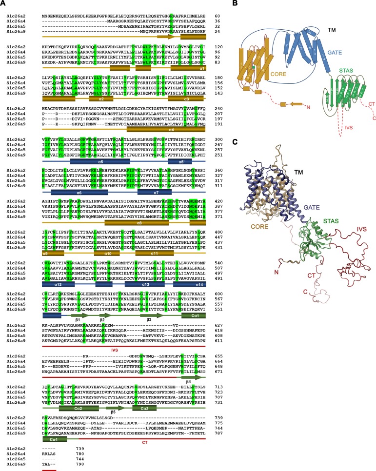 Figure 1—figure supplement 1.