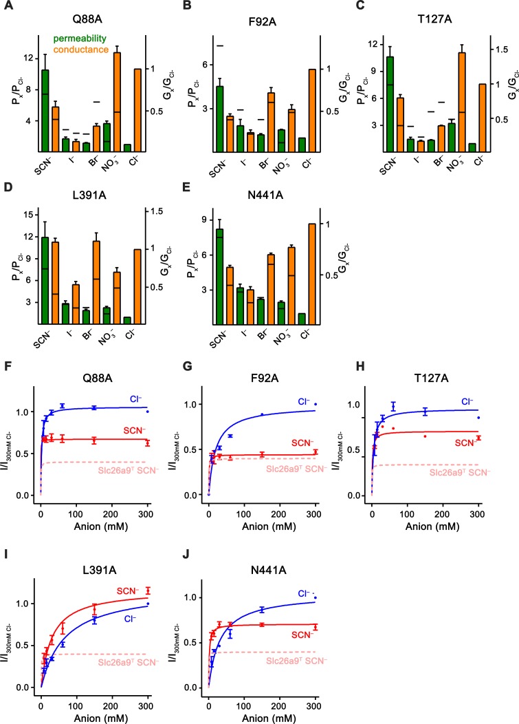 Figure 7—figure supplement 3.