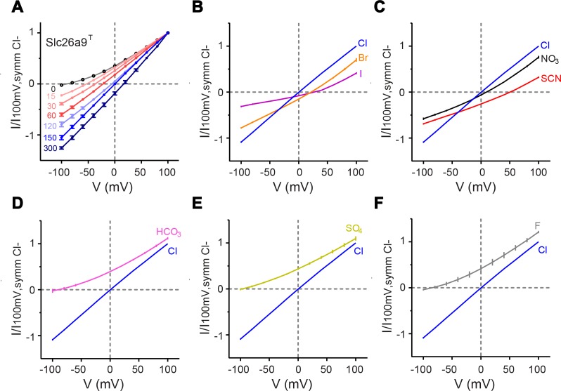 Figure 1—figure supplement 3.