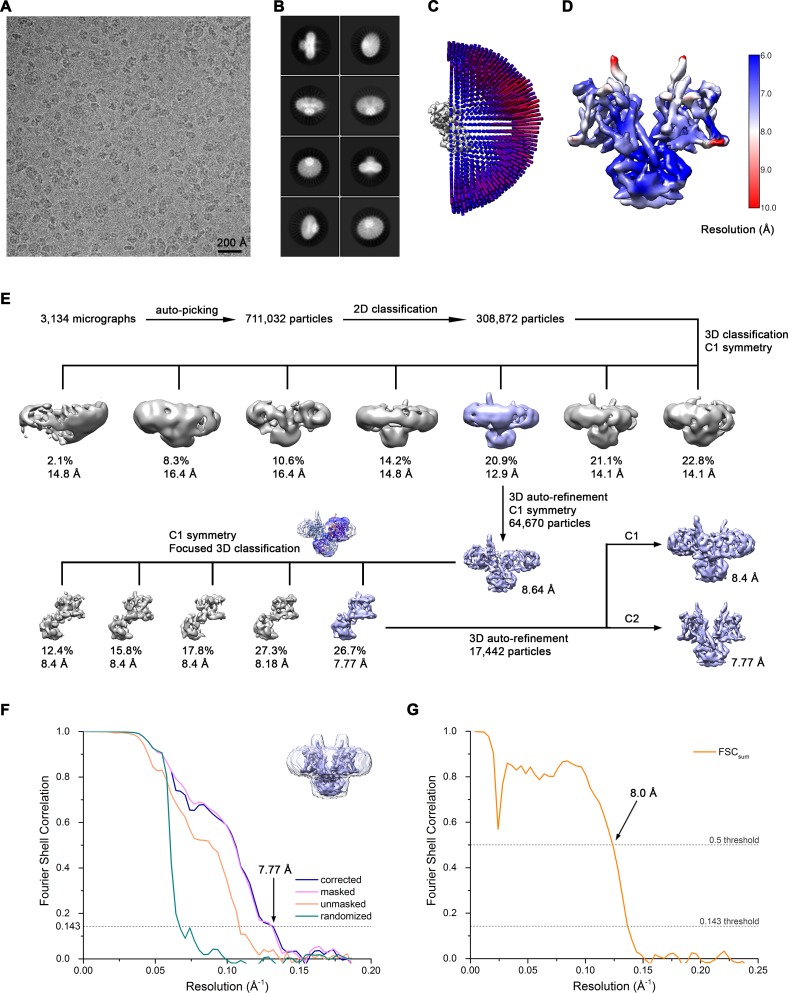 Figure 2—figure supplement 3.