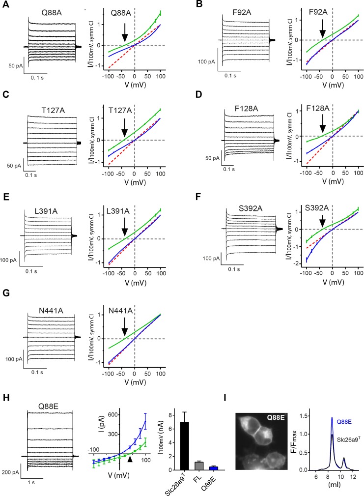 Figure 7—figure supplement 1.