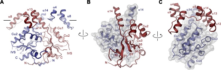 Figure 3.