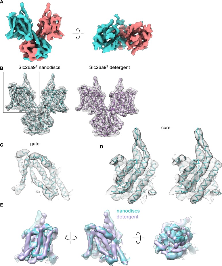 Figure 2—figure supplement 4.