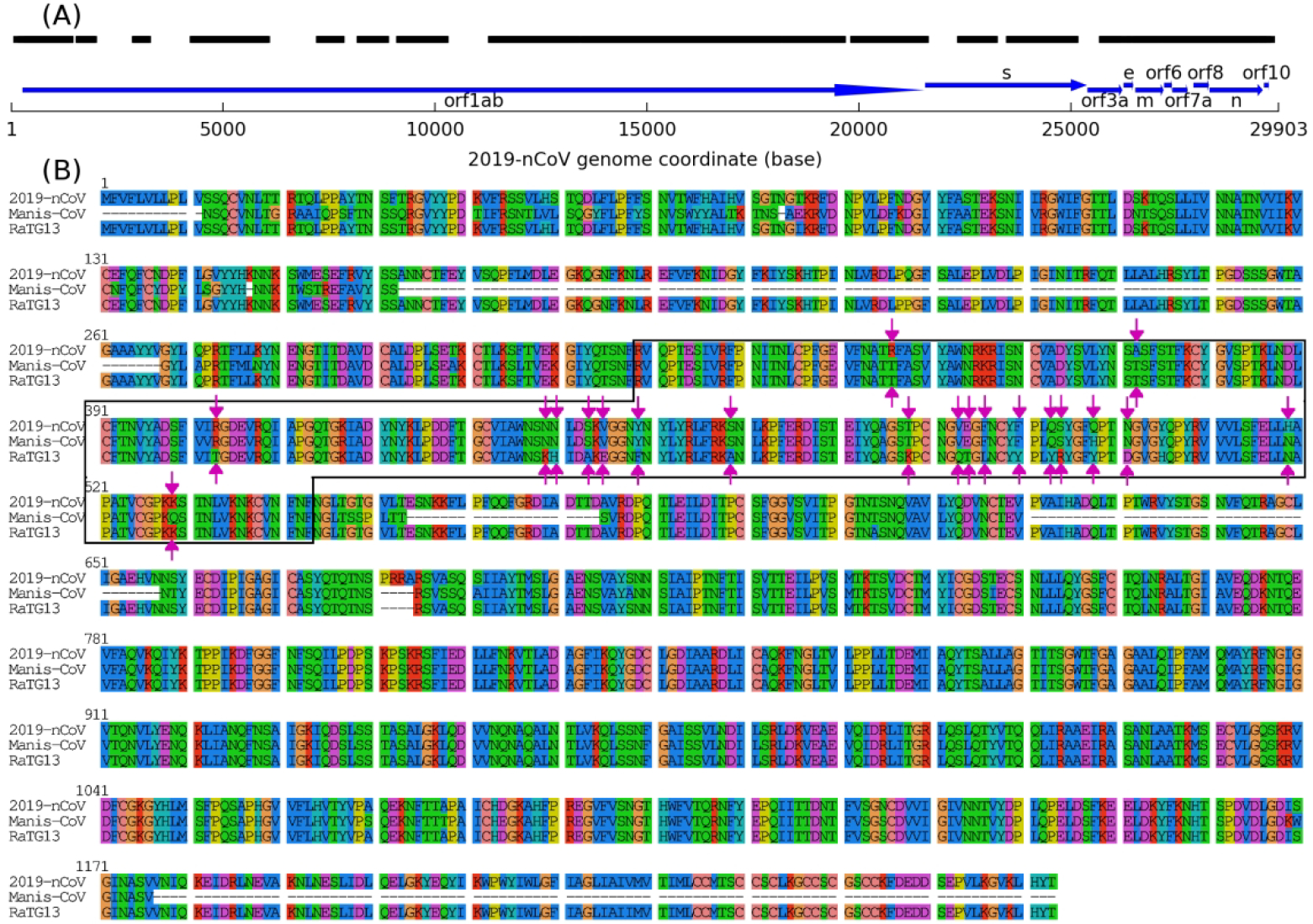 Figure 5.