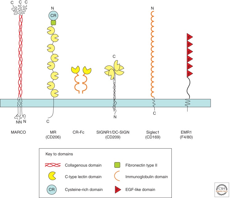 Figure 3.