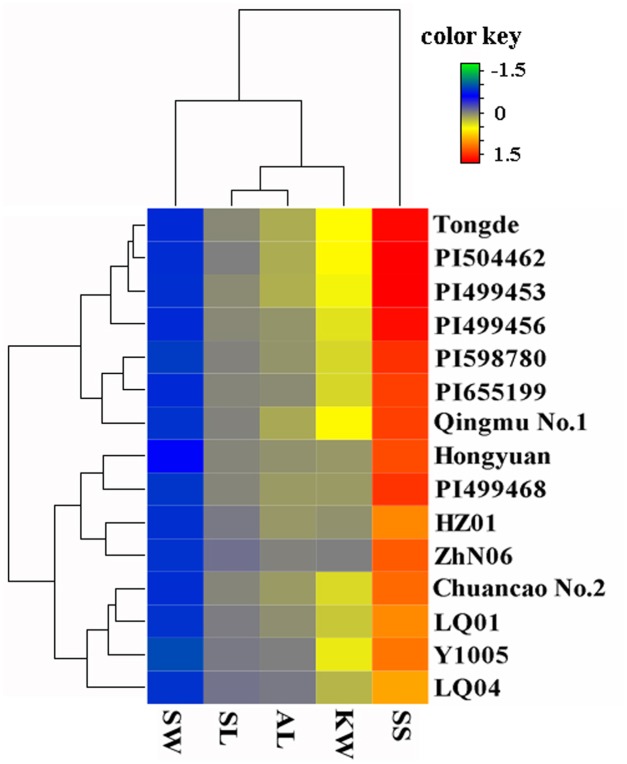 FIGURE 2