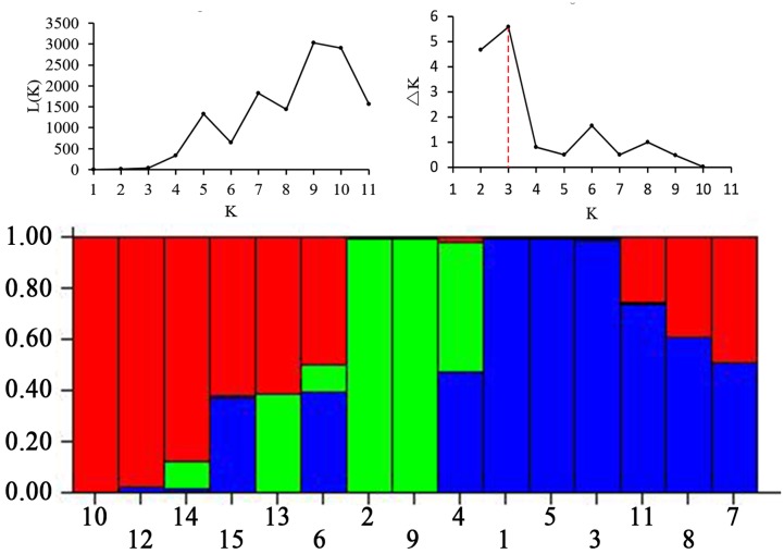 FIGURE 3