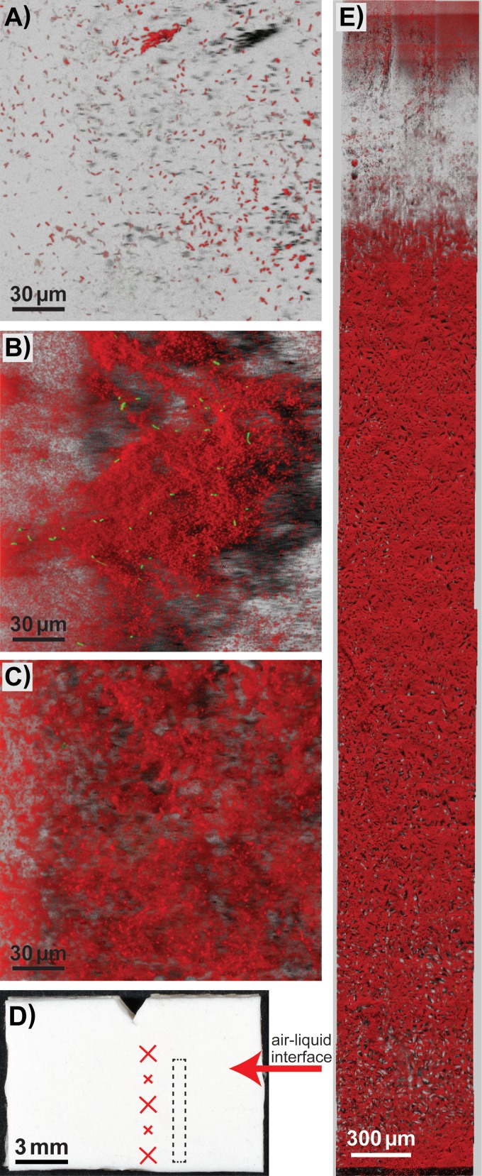 FIG 6