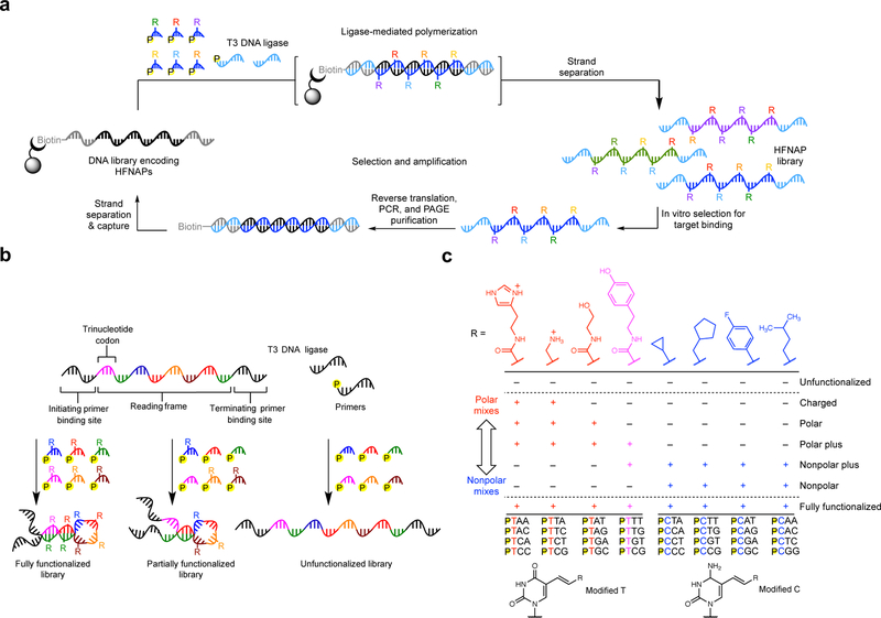 Figure 1: