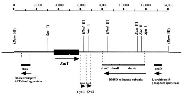 FIG. 5