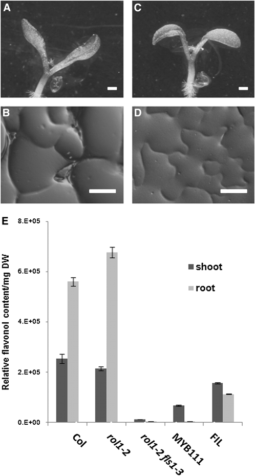 Figure 6.